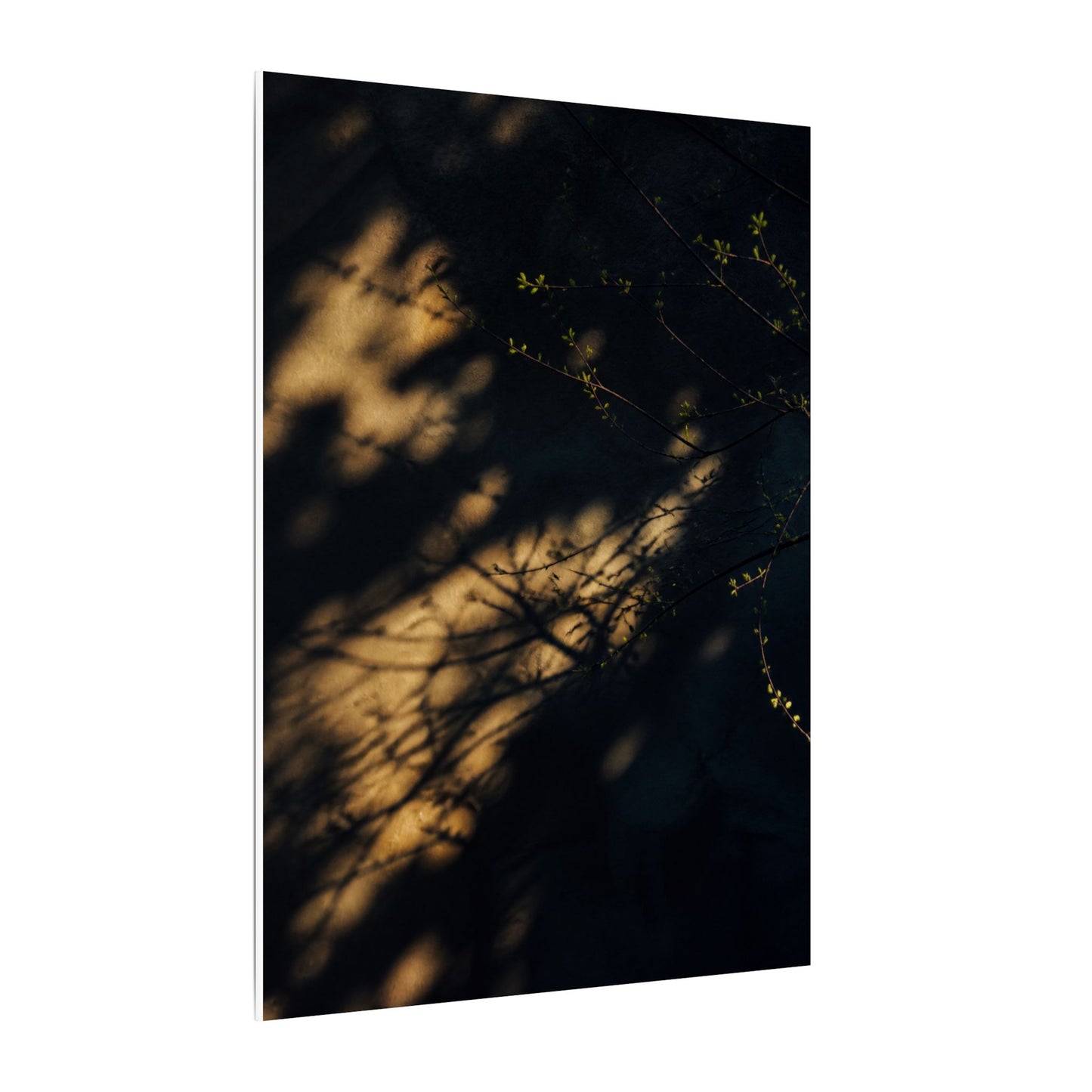Moody Shadow Play Canvas Art - Moody Minimal Dark Japandi