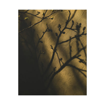 Golden Hour Shadow Play Canvas Art - Dark Japandi Seijaku
