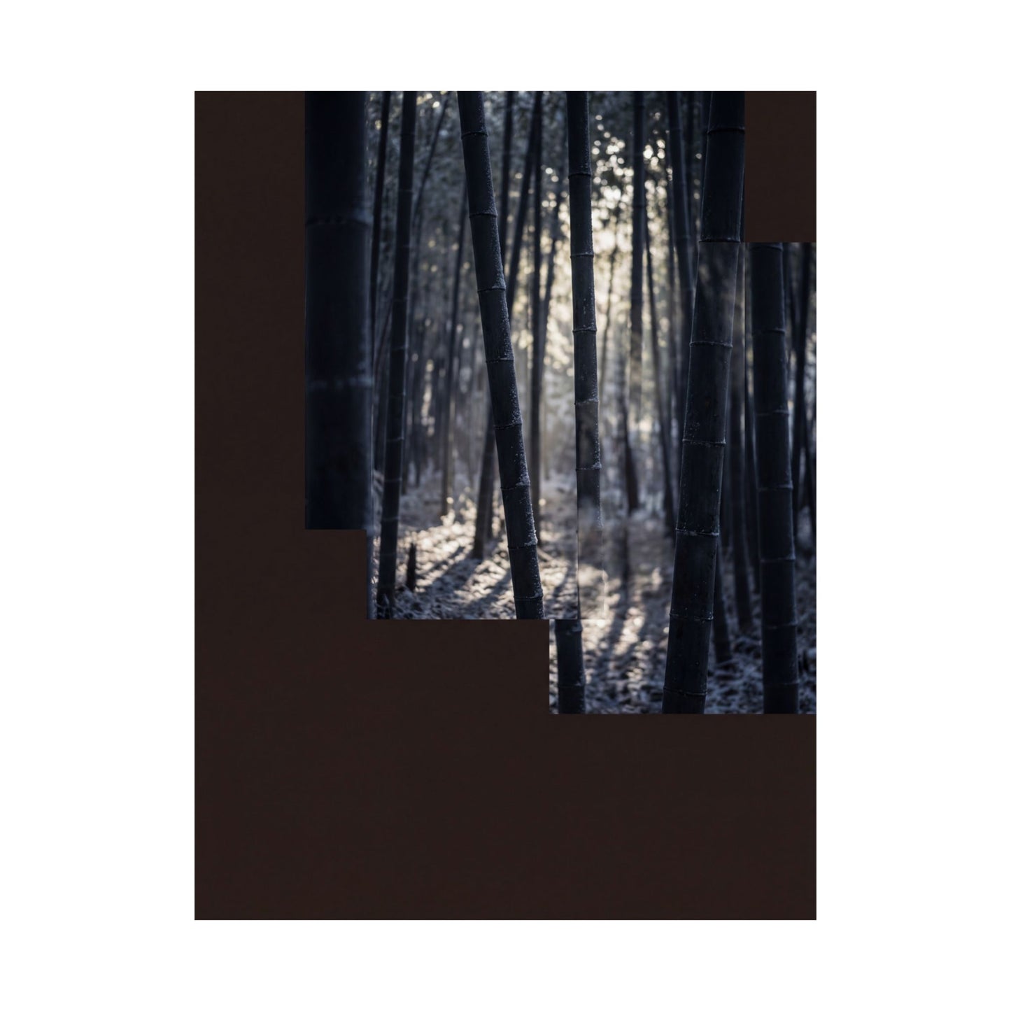 Ma Bamboo Grove Wall Art Print - Dark Japandi Moody Minimal