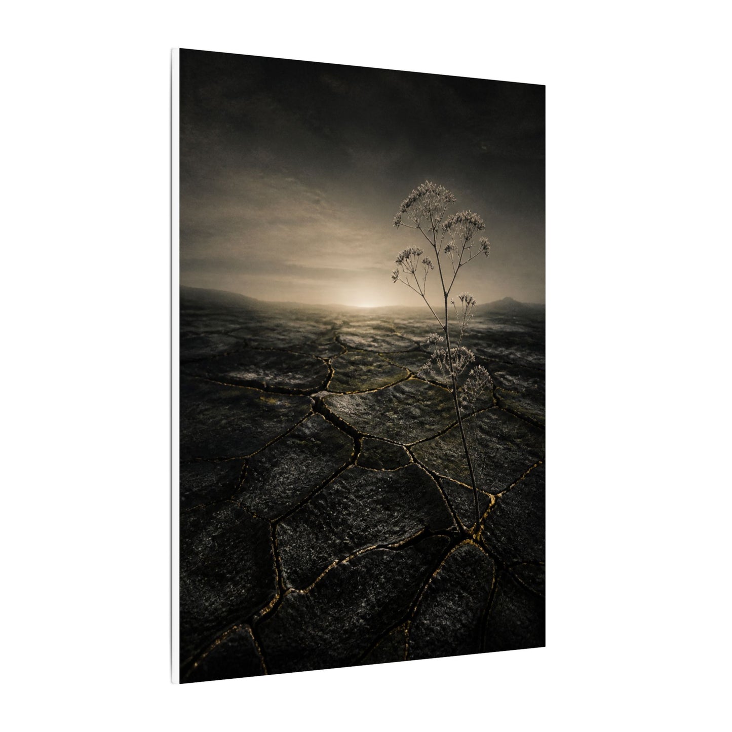 Dawn Cracked Earth Canvas Art - Dark Japandi Mono No Aware