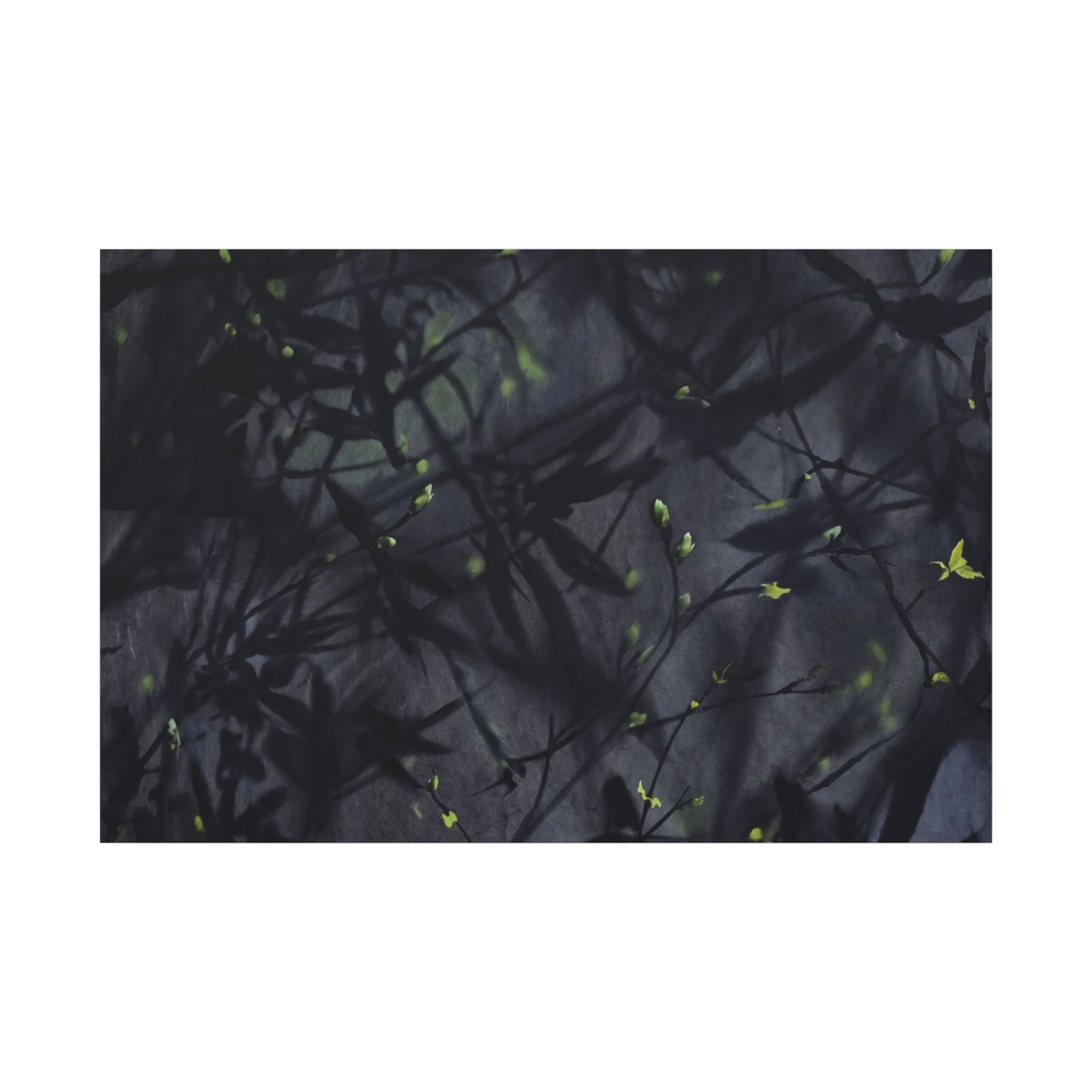 Shadow Play Spring Canvas Art | Dark Japandi Atmospheric Design