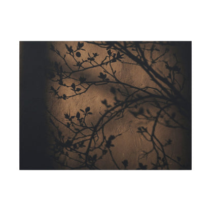 Dark Japandi Shadow Play in Golden Hour | Shadow Zen Canvas Art Art Print