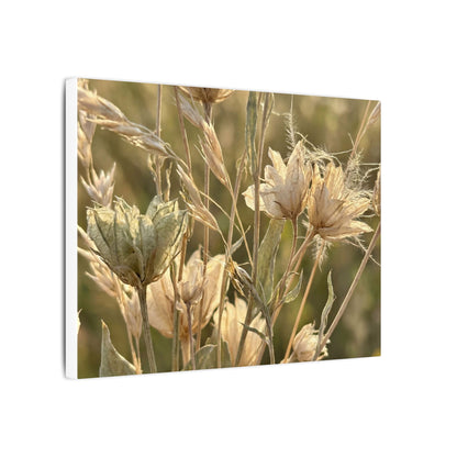 Summer Dried Flowers Minimal Line Canvas Art | Cozy Decor