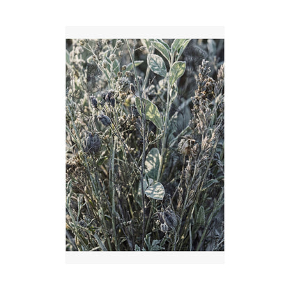 Dried Flowers Winter Wall Art Print | Japandi Neutral Design