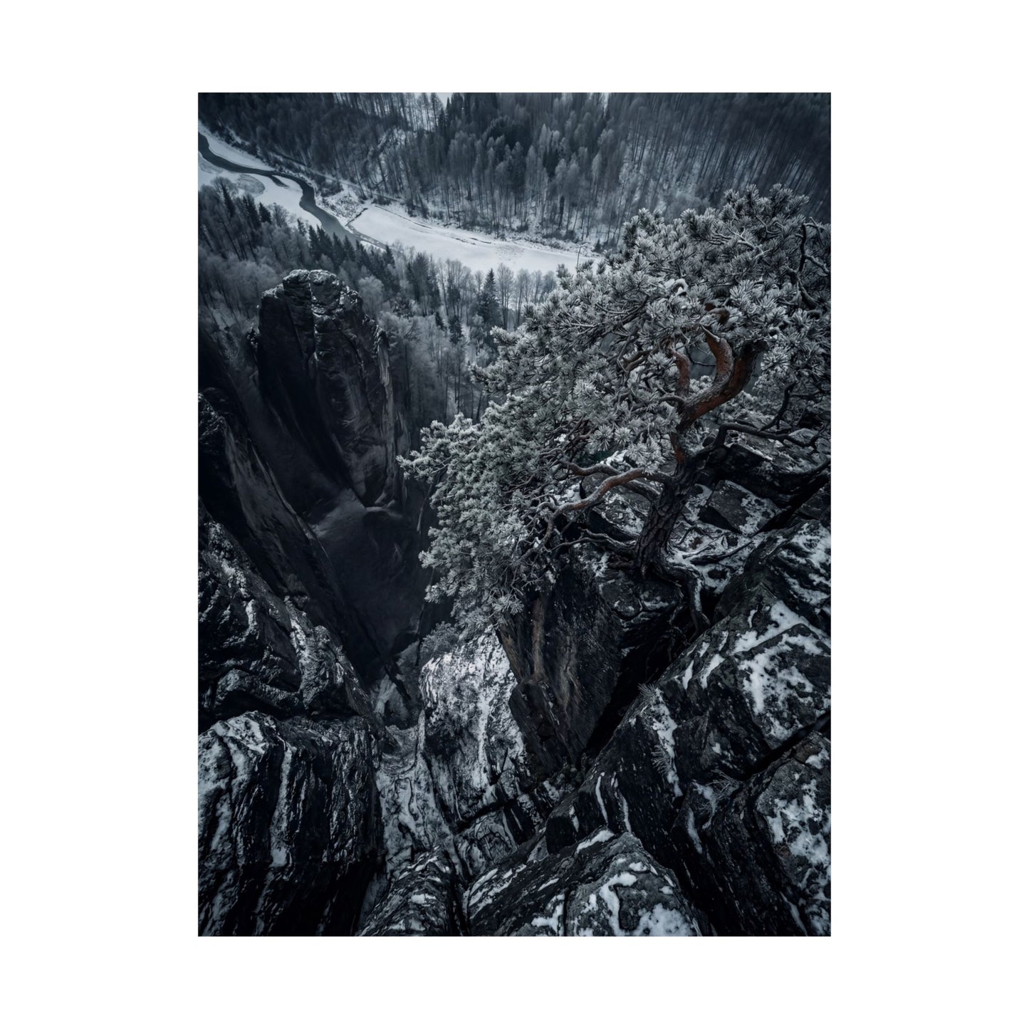 Pine Tree Wall Art Print | Winter Dark Japandi Dark Texture Art