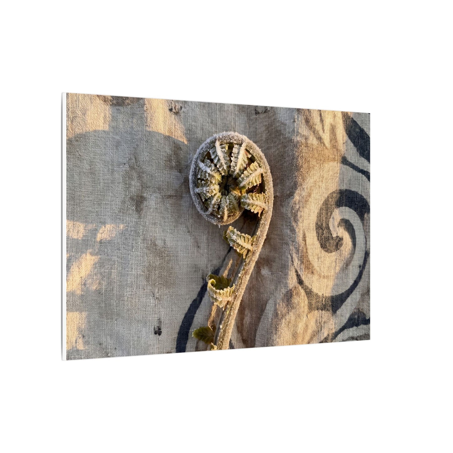Fern Unfurling Canvas Art | Winter Japandi Japanese Pattern Art