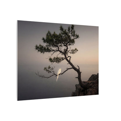 Dawn Pine Tree Canvas Art - Dark Japandi Datsuzoku