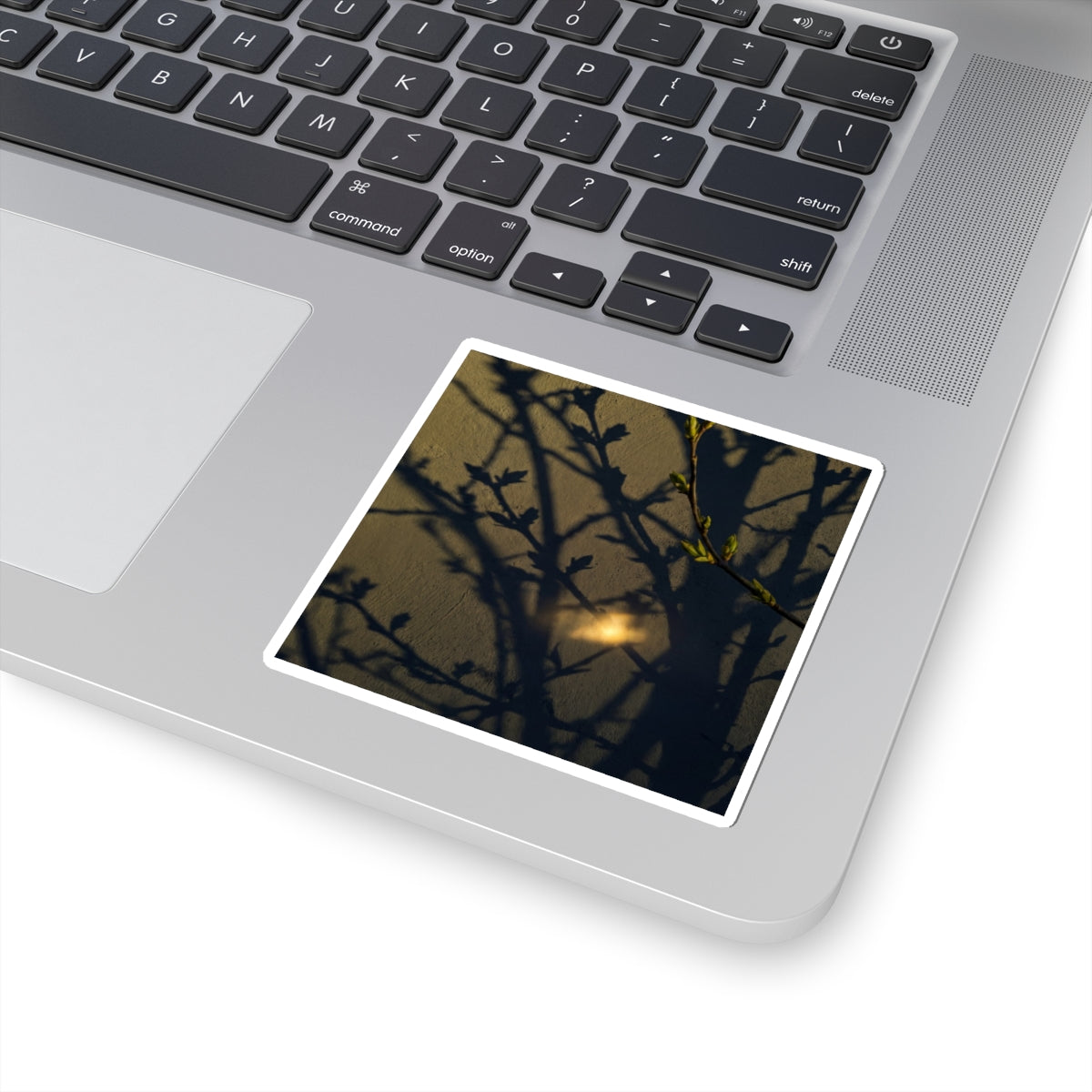 Dark Japandi Shadow Play in Golden Hour | Moody Minimal Sticker Art Print