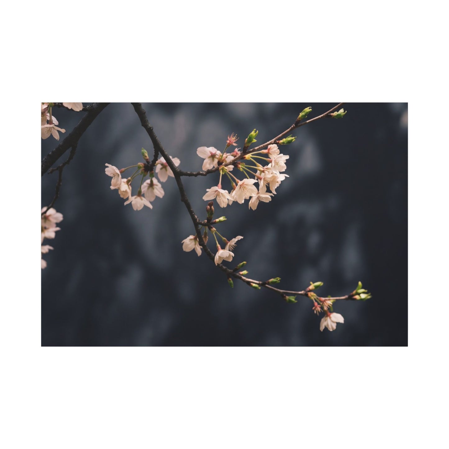Cherry Blossom Moody Minimal Canvas Art | Bold Dark Japandi Art