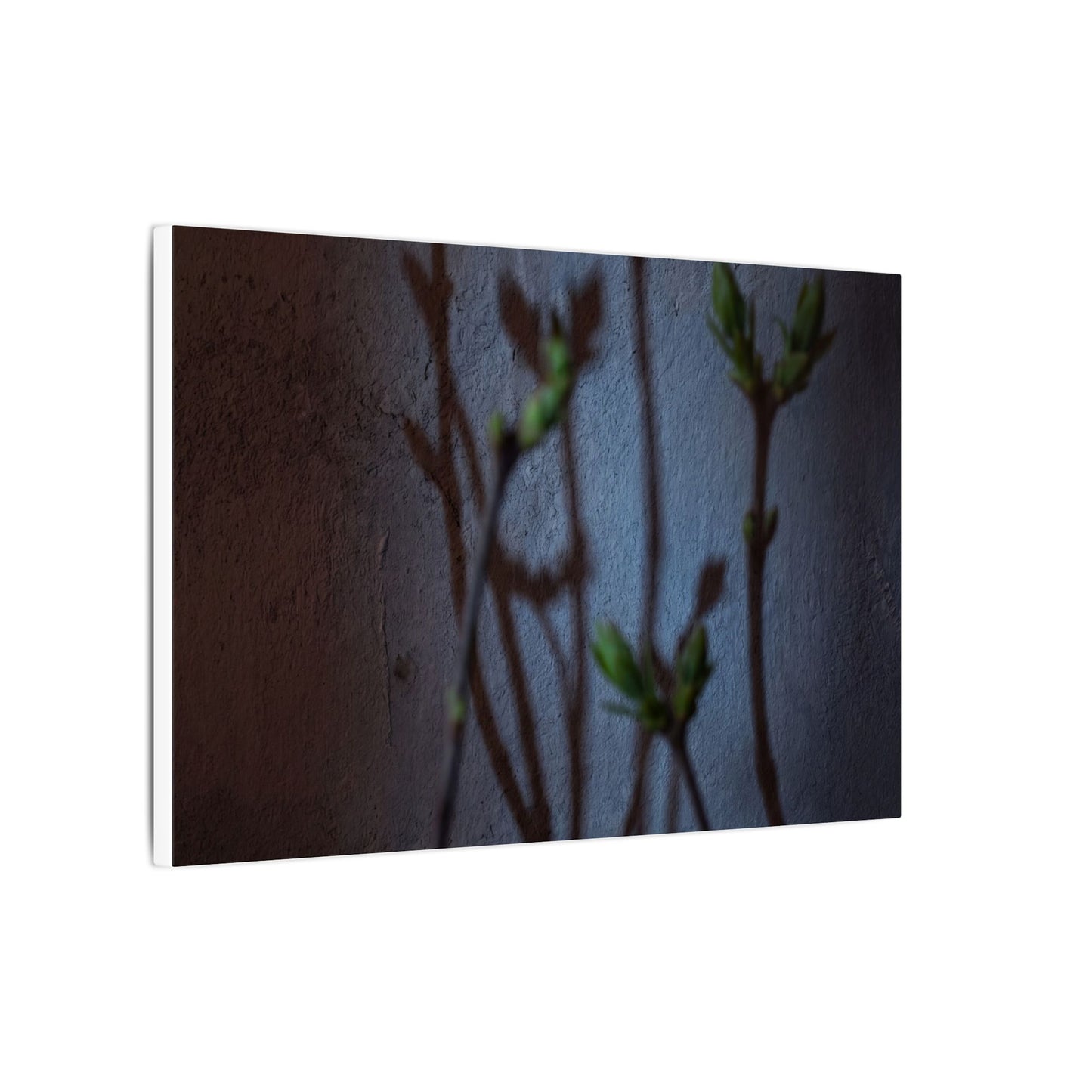 Shadow Play Spring Canvas Art | Dark Japandi Sophisticated Design