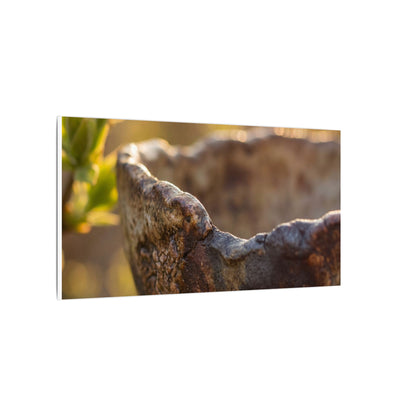 Golden Hour Ceramic Bowl Canvas Art - Dark Japandi Ma