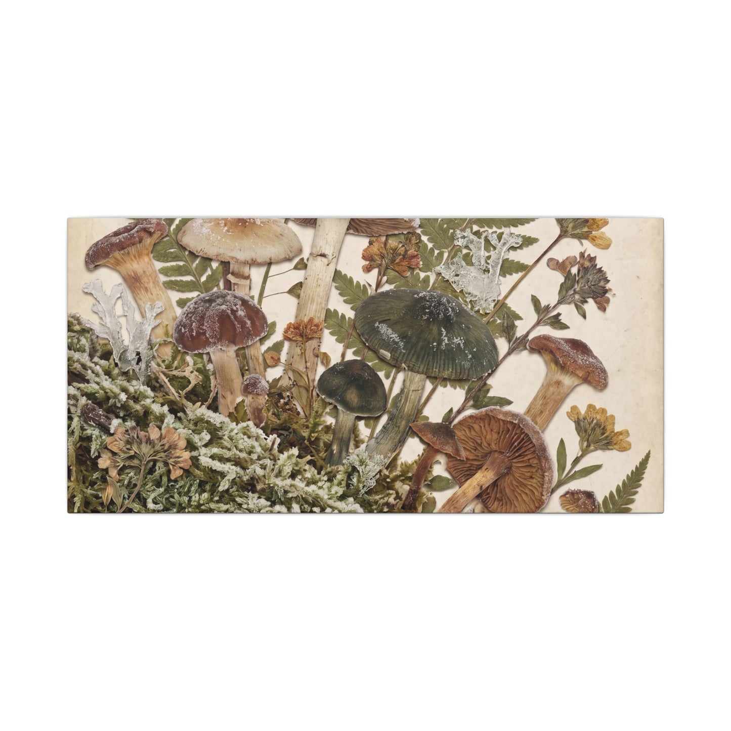 Winter Wild Mushrooms Herbarium Canvas Art | Enchanting Decor