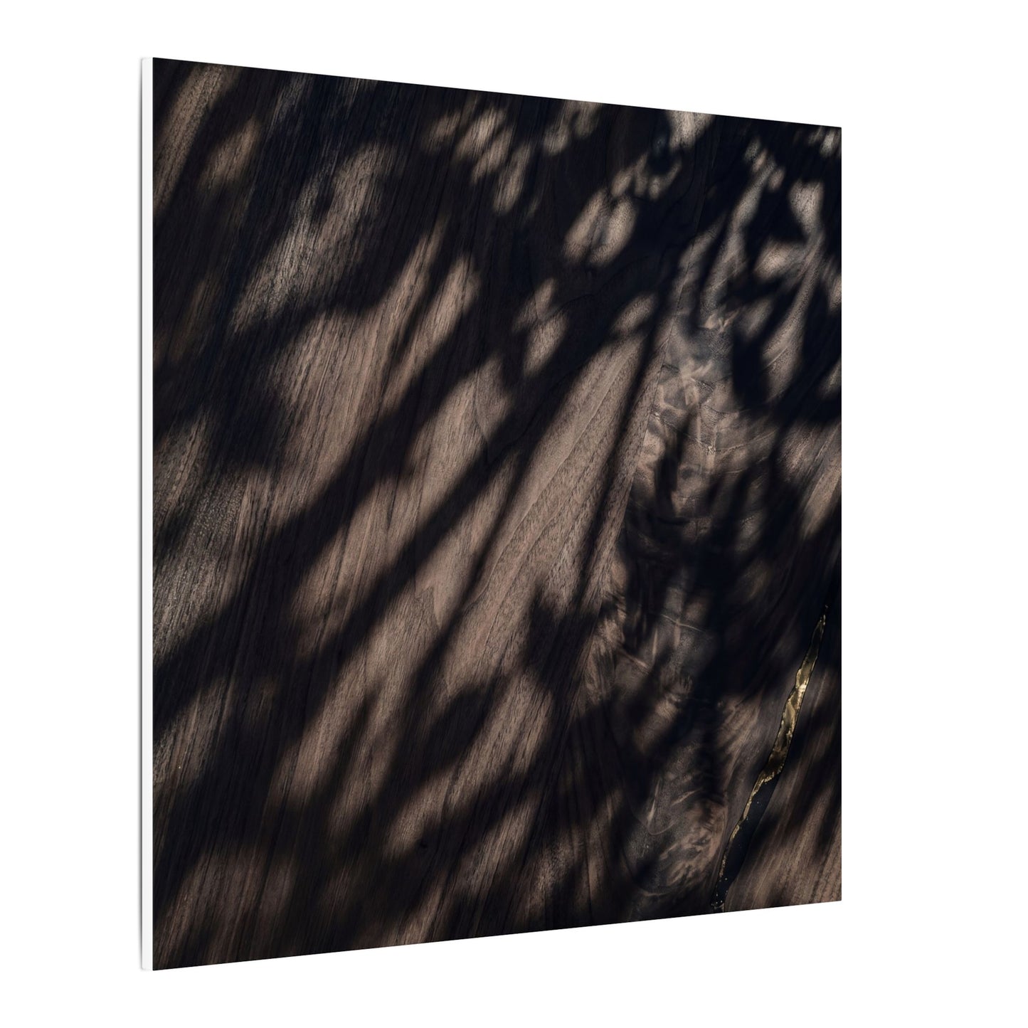 Shadow Play Summer Canvas Art | Dark Japandi Moody Design