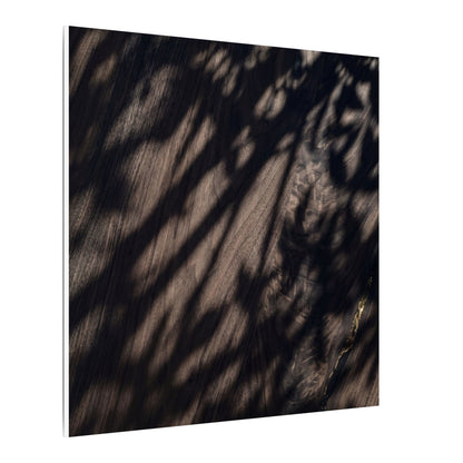 Shadow Play Summer Canvas Art | Dark Japandi Moody Design