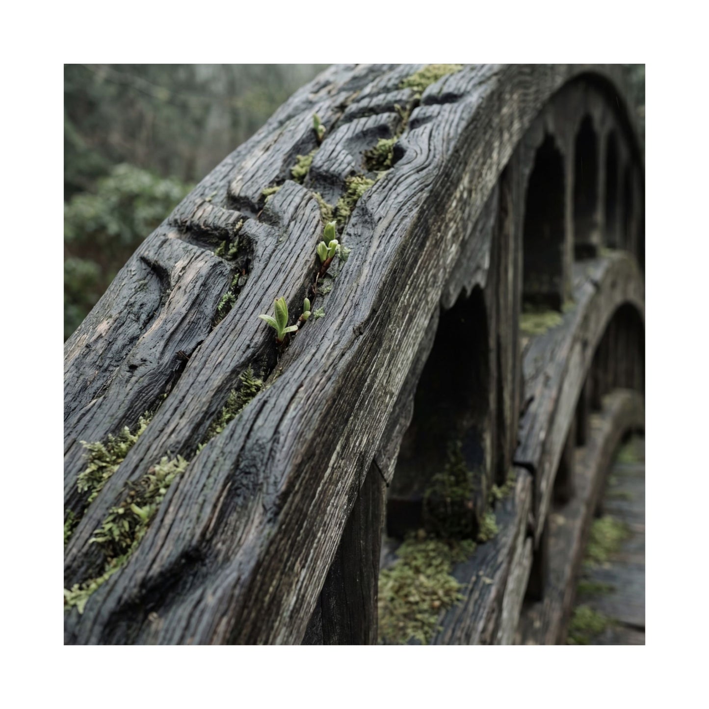 Kanso Wooden Bridge Wall Art Print - Japandi Japanese Pattern