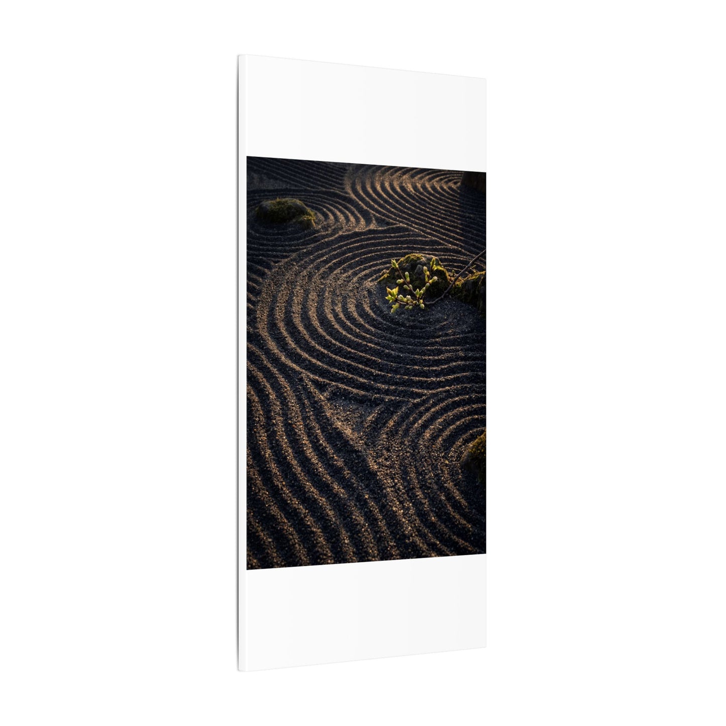 Spring Rock Garden Shadow Zen Canvas Art | Atmospheric Decor