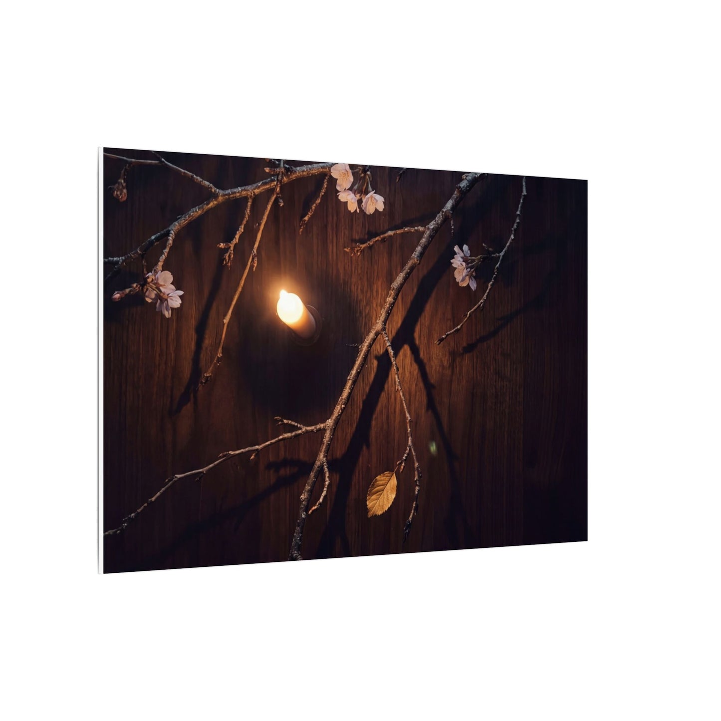 Datsuzoku Cherry Blossom Canvas Art - Dark Japandi Moody Minimal