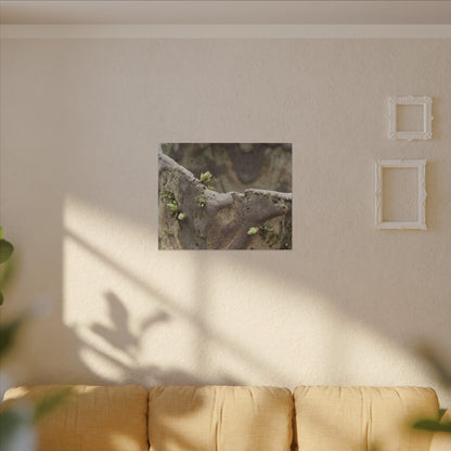 Overcast Ceramic Bowl Canvas Art - Japandi Fukinsei