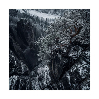 Pine Tree Wall Art Print | Winter Dark Japandi Dark Texture Art