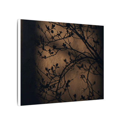 Dark Japandi Shadow Play in Golden Hour | Shadow Zen Canvas Art