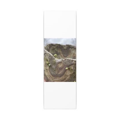 Overcast Ceramic Bowl Canvas Art - Japandi Fukinsei