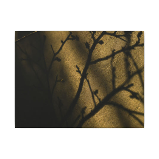 Golden Hour Shadow Play Canvas Art - Dark Japandi Seijaku