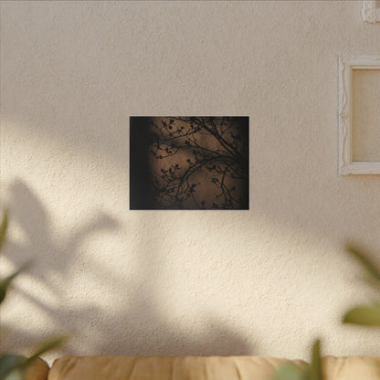 Dark Japandi Shadow Play in Golden Hour | Shadow Zen Canvas Art
