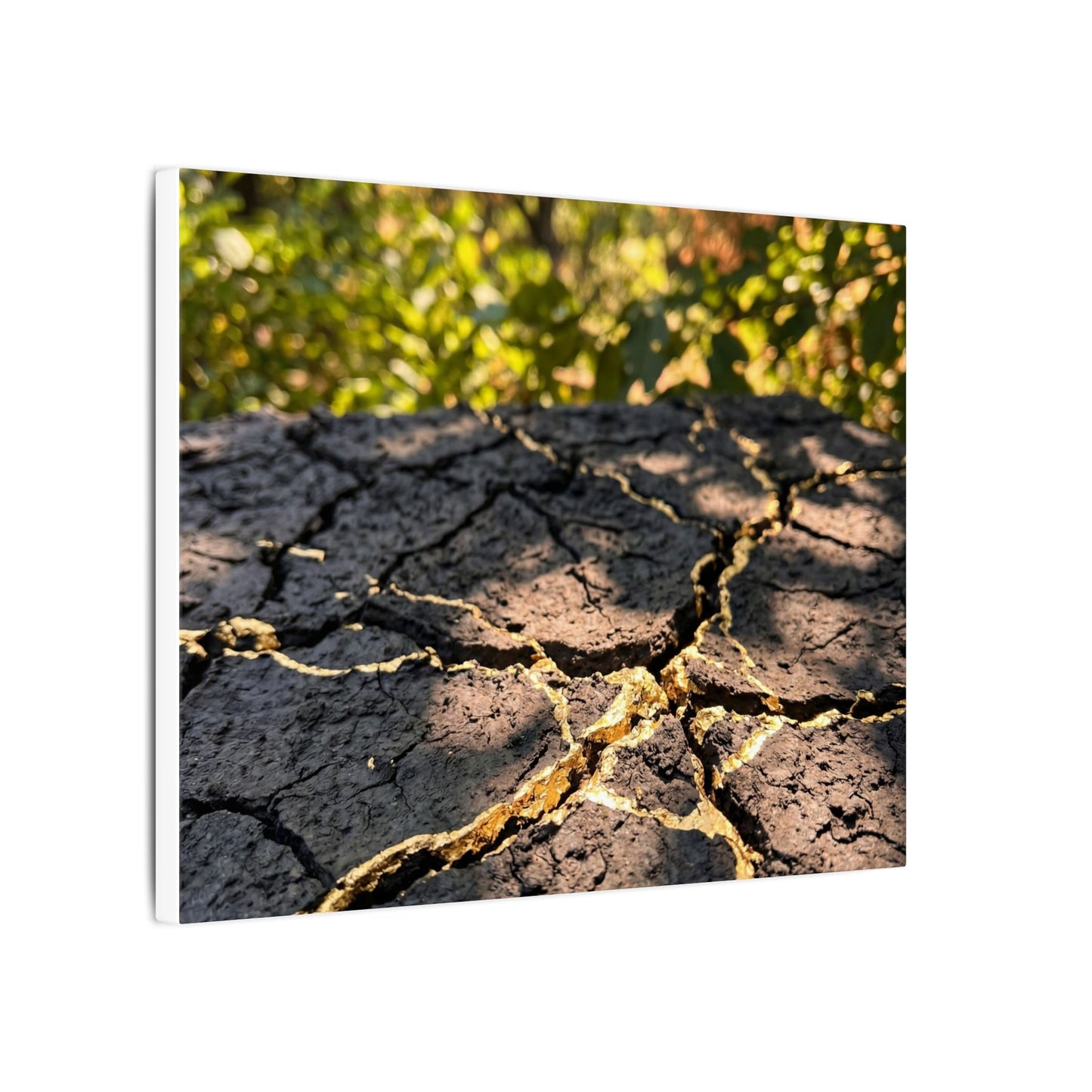 Shibui Cracked Earth Canvas Art - Kintsugi Gold Repair