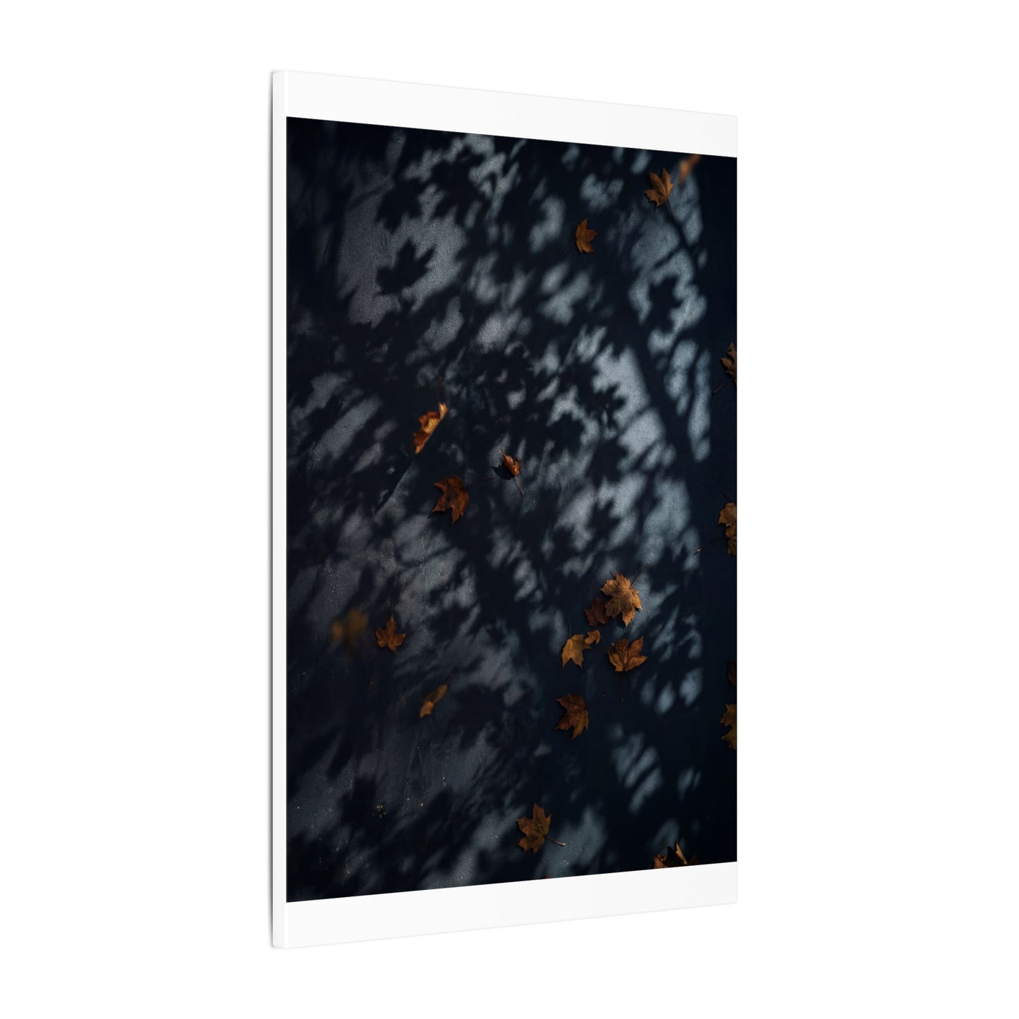 Autumn Shadow Play Shadow Zen Canvas Art | Atmospheric Decor