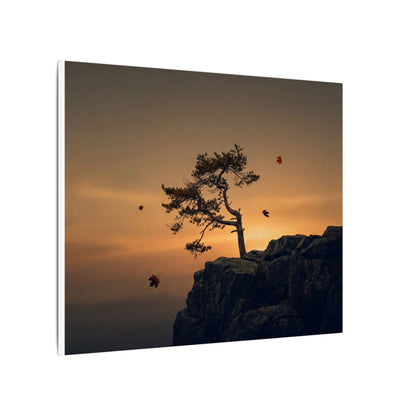 Dark Japandi Pine Tree in Golden Hour | Moody Minimal Canvas Art