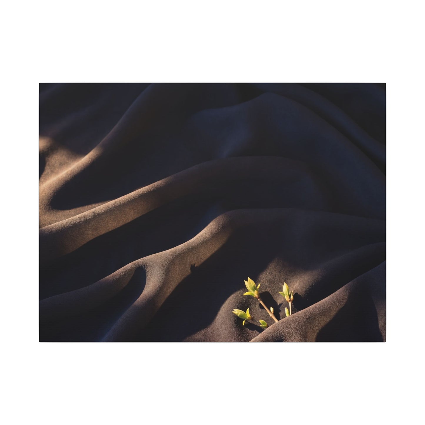 Silk Drape Shadow Zen Canvas Art | Luxurious Dark Japandi Art Art Print