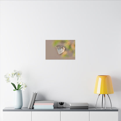 Ceramic Bowl Canvas Art | Spring Japandi Japanese Pattern Art