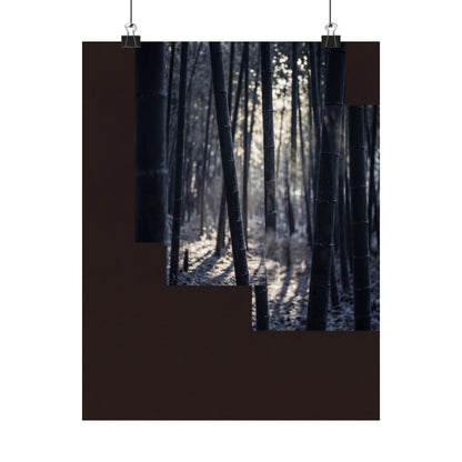 Ma Bamboo Grove Wall Art Print - Dark Japandi Moody Minimal