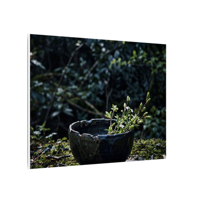 Dappled Ceramic Bowl Canvas Art - Dark Japandi Datsuzoku