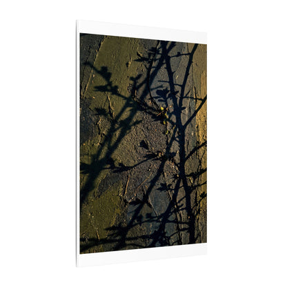 Kanso Shadow Play Canvas Art - Dark Japandi Dark Texture