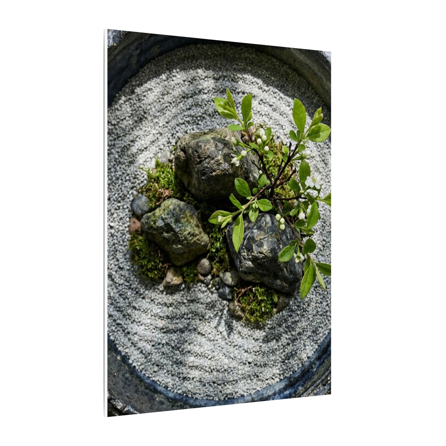 Zen Ceramic Bowl in Dappled | Karesansui Canvas Art