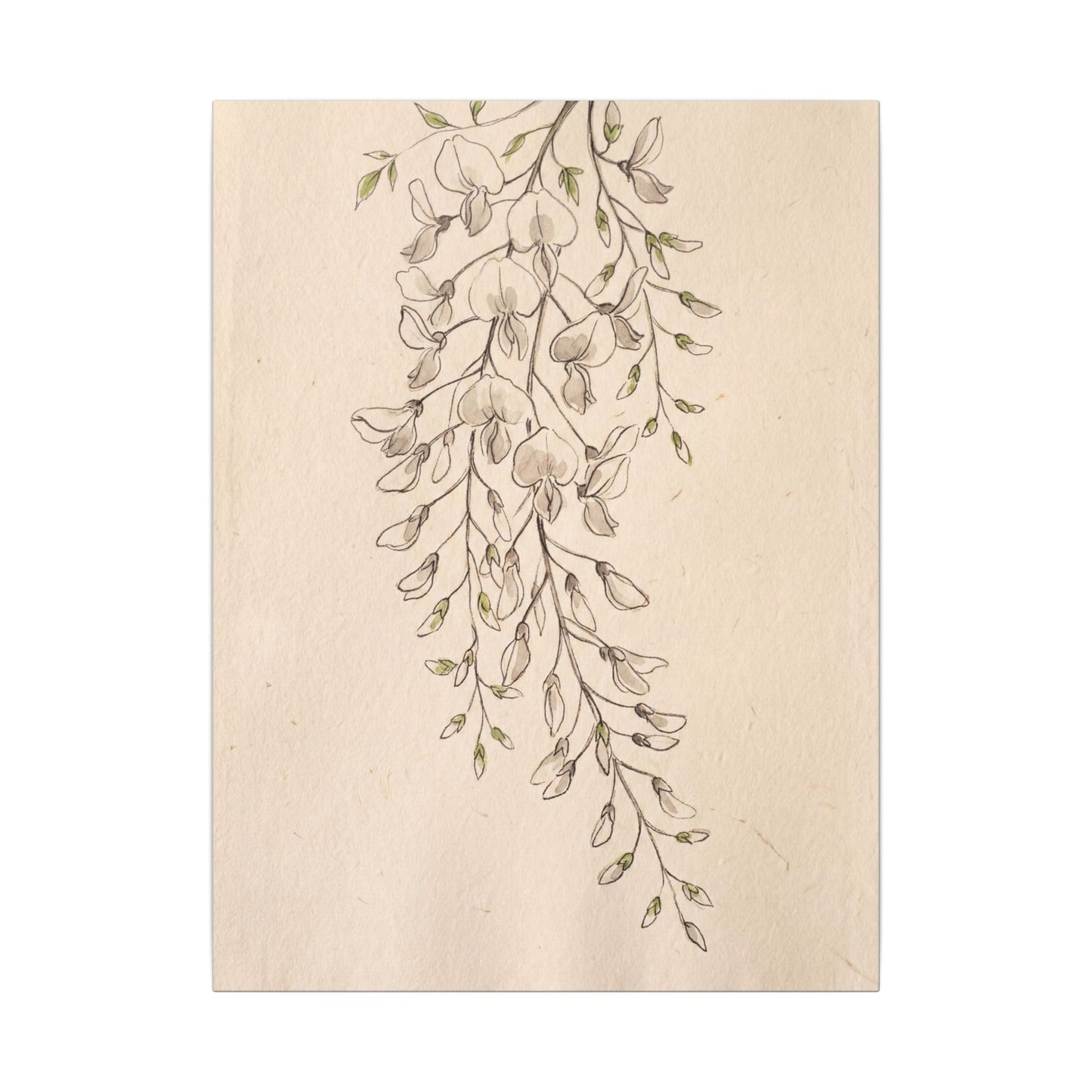 Japandi Wisteria in Golden Hour | Minimal Line Canvas Art