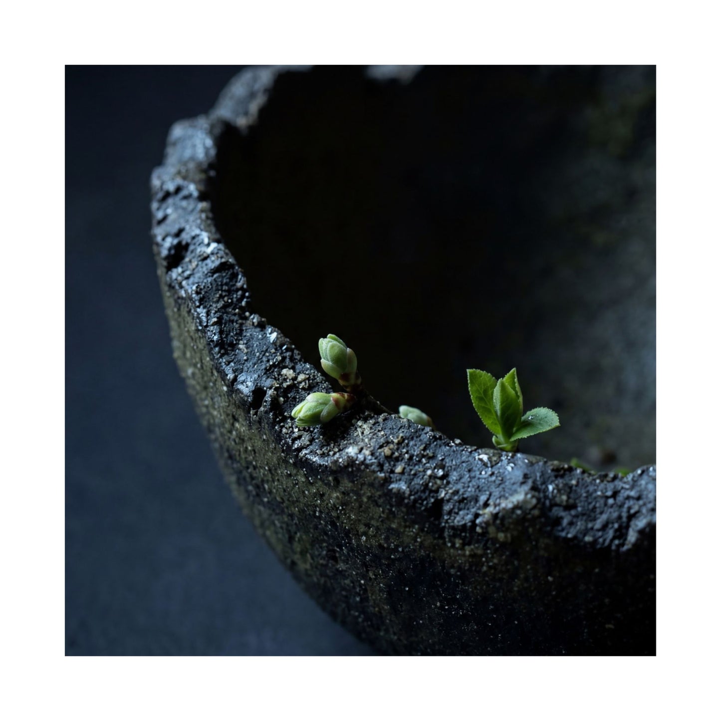 Datsuzoku Ceramic Bowl Wall Art Print - Dark Japandi Moody Minimal