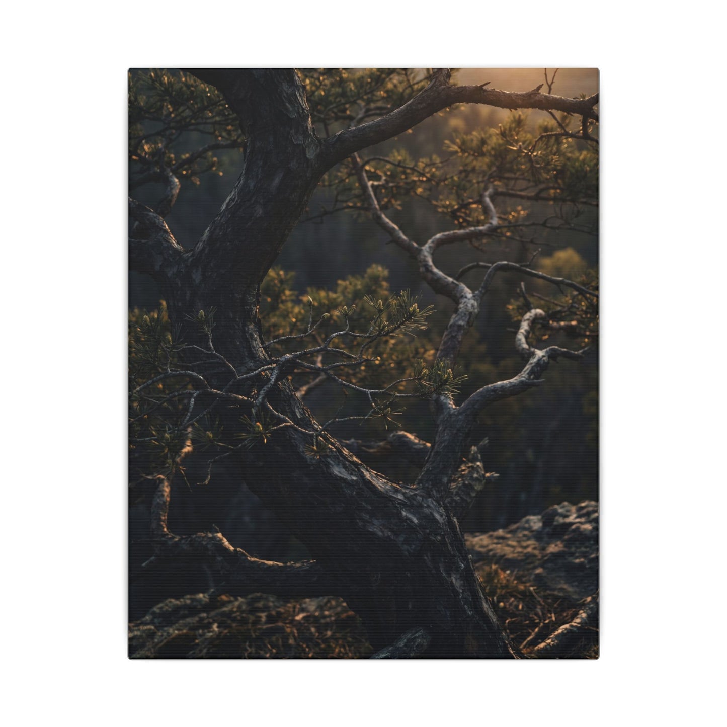 Moody Pine Tree Canvas Art - Moody Minimal Dark Japandi