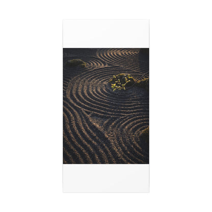 Spring Rock Garden Shadow Zen Canvas Art | Atmospheric Decor