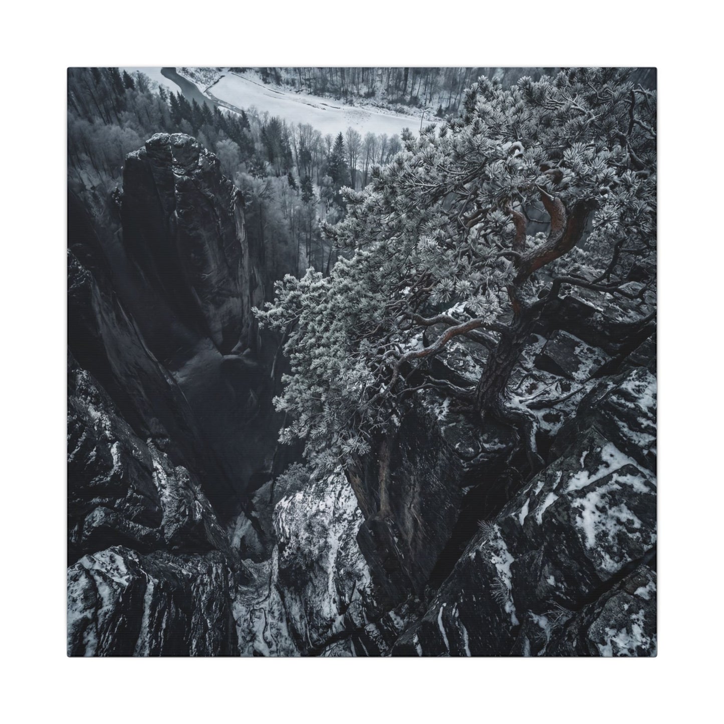 Dark Japandi Pine Tree in Dappled | Dark Texture Canvas Art