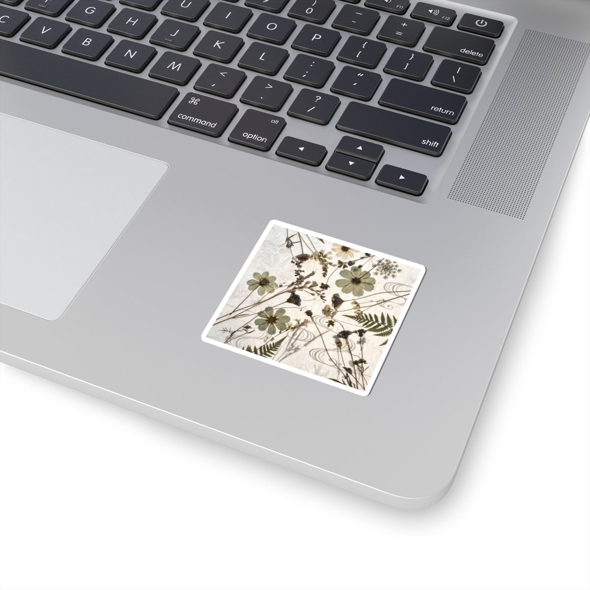 Dried Flowers Winter Sticker | Japandi Earthy Design