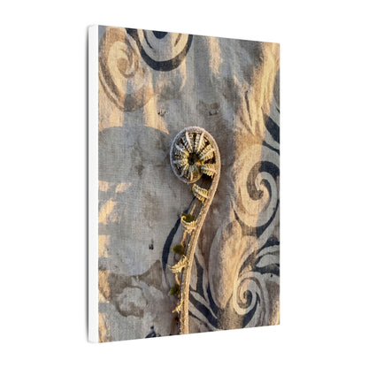 Fern Unfurling Canvas Art | Winter Japandi Japanese Pattern Art