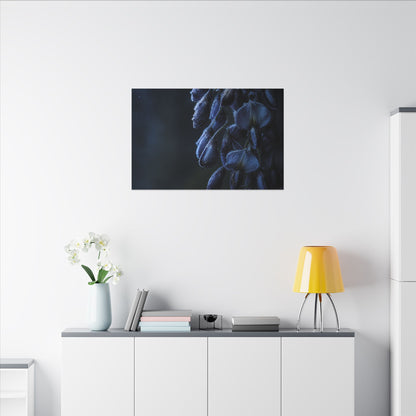 Winter Wisteria Shadow Zen Canvas Art | Atmospheric Decor