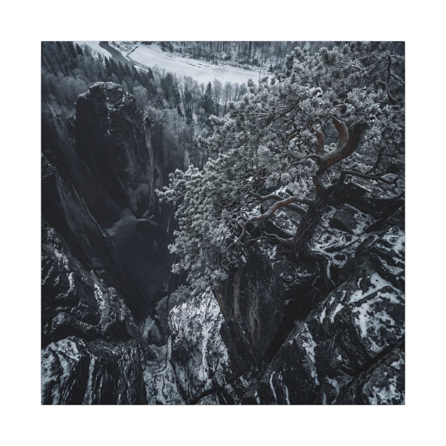 Dark Japandi Pine Tree in Dappled | Dark Texture Canvas Art