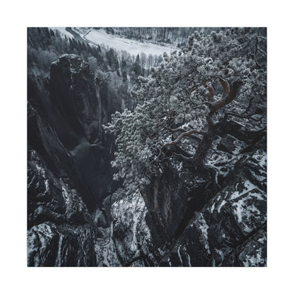 Dark Japandi Pine Tree in Dappled | Dark Texture Canvas Art