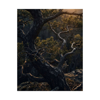 Pine Tree Spring Wall Art Print | Dark Japandi Sophisticated Design
