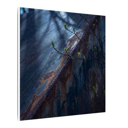 Rust Patina Canvas Art | Spring Dark Japandi Shadow Zen Art