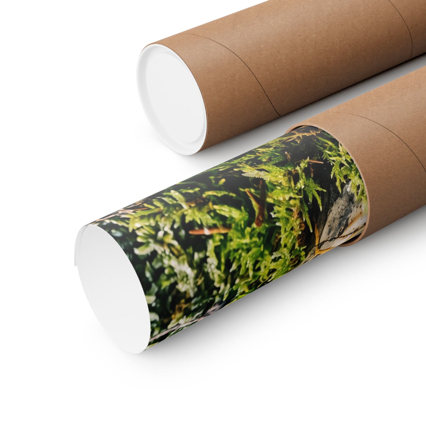 Winter Moss Close Up Gold Repair Wall Art Print | Beautiful Decor