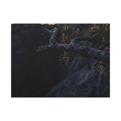 Pine Tree Moody Minimal Canvas Art | Sophisticated Dark Japandi Art Art Print